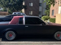 1985 Buick Regal for sale in Michigan (ID-133638)