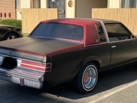 1985 Buick Regal for sale in Michigan (ID-133638)