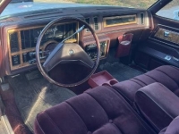 1985 Buick Regal for sale in Michigan (ID-133638)