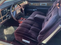 1985 Buick Regal for sale in Michigan (ID-133638)