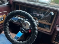 1985 Buick Regal for sale in Michigan (ID-133638)