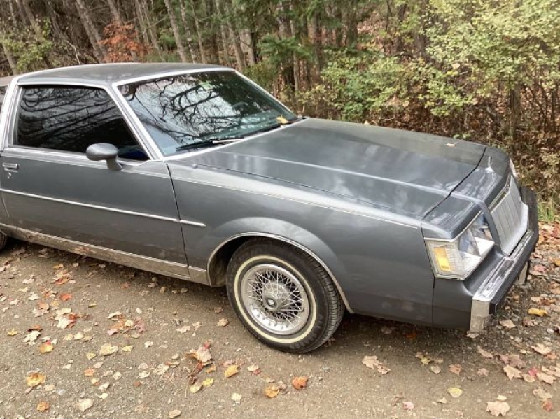 1985 Buick Regal for sale in Michigan (ID-145737)