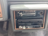 1985 Buick Regal for sale in Michigan (ID-145737)