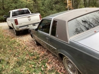 1985 Buick Regal for sale in Michigan (ID-145737)