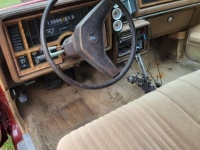 1985 Buick Regal for sale in Michigan (ID-155175)
