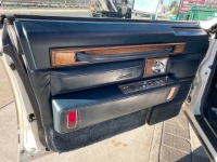 1985 Cadillac DeVille for sale in Michigan (ID-118886)