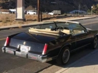 1985 Cadillac Eldorado for sale in Michigan (ID-112389)