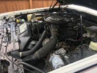 1985 Cadillac Eldorado for sale in Michigan (ID-119563)
