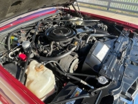 1985 Cadillac Eldorado for sale in Michigan (ID-123381)