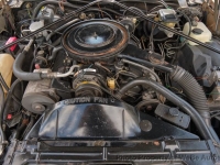 1985 Cadillac Seville for sale in Riverhead, New York (ID-134590)