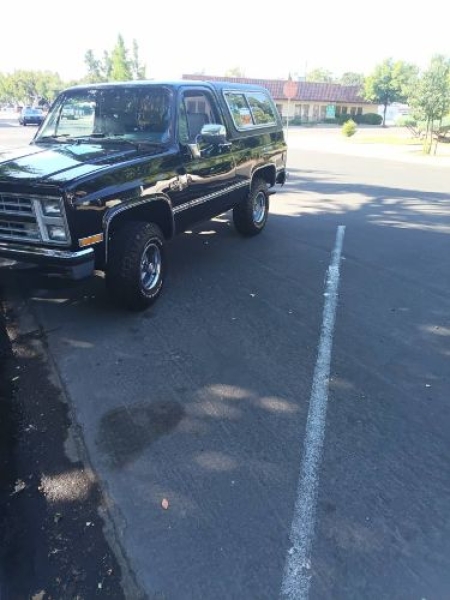 1985 Chevrolet Blazer for sale in Michigan (ID-164131)