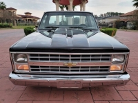 1985 Chevrolet C10 for sale in Michigan (ID-110049)