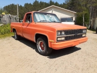 1985 Chevrolet C10 for sale in Michigan (ID-120918)