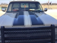 1985 Chevrolet C10 for sale in Michigan (ID-139749)