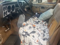 1985 Chevrolet C10 for sale in Michigan (ID-140227)