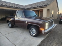 1985 Chevrolet C10 for sale in Michigan (ID-146355)