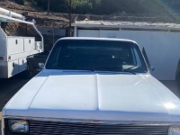 1985 Chevrolet C10 for sale in Michigan (ID-161398)