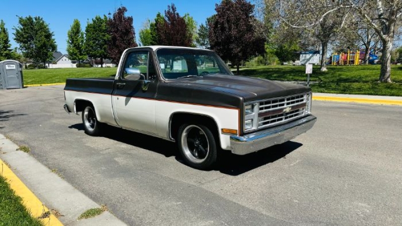1985 Chevrolet C10 for sale in Michigan (ID-163510)