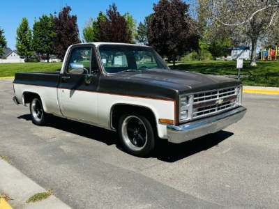 1985 Chevrolet C10 for sale