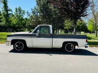 1985 Chevrolet C10 for sale in Michigan (ID-163510)