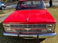 1985 Chevrolet C20 for sale in Michigan (ID-123192)