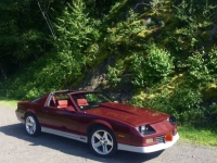 1985 Chevrolet Camaro for sale in Michigan (ID-117302)