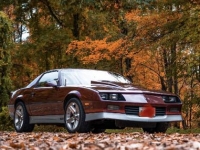1985 Chevrolet Camaro for sale in Michigan (ID-117302)
