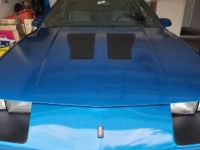 1985 Chevrolet Camaro for sale in Michigan (ID-119853)