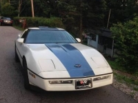 1985 Chevrolet Corvette for sale in Michigan (ID-94760)