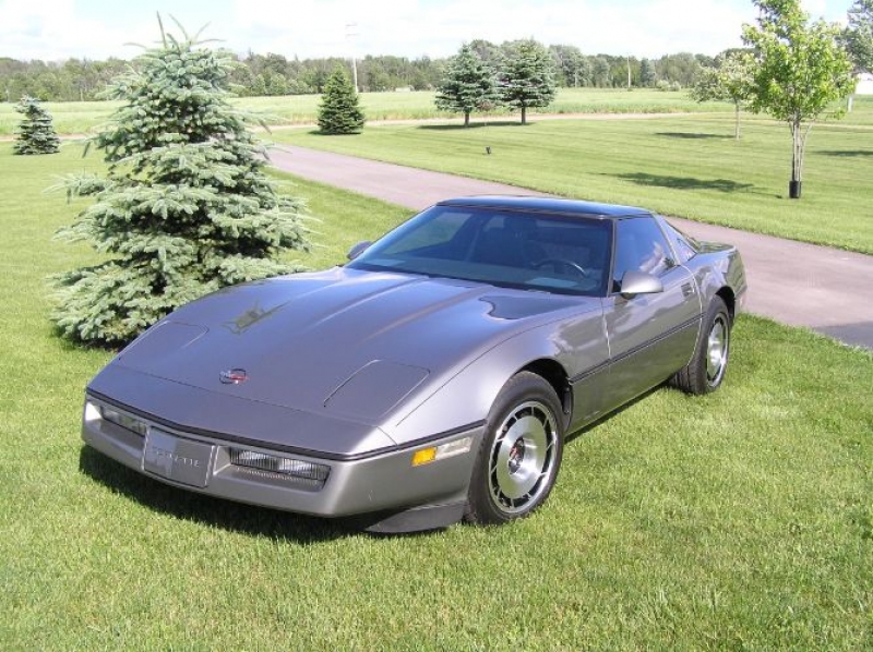 1985 Chevrolet Corvette for sale in Michigan (ID-100832)