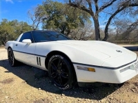 1985 Chevrolet Corvette for sale in Michigan (ID-162540)