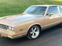 1985 Chevrolet Monte Carlo for sale in Michigan (ID-122290)