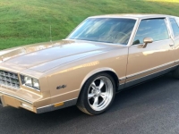 1985 Chevrolet Monte Carlo for sale in Michigan (ID-122290)