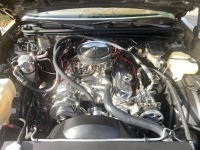 1985 Chevrolet Monte Carlo for sale in Michigan (ID-122290)