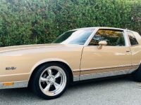1985 Chevrolet Monte Carlo for sale in Michigan (ID-122290)