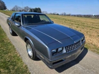 1985 Chevrolet Monte Carlo for sale in Michigan (ID-127062)