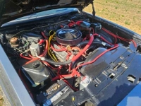 1985 Chevrolet Monte Carlo for sale in Michigan (ID-127062)
