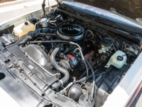 1985 Chevrolet Monte Carlo for sale in Riverhead, New York (ID-128656)