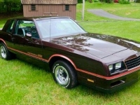 1985 Chevrolet Monte Carlo for sale in Michigan (ID-130782)