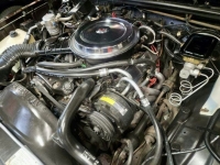 1985 Chevrolet Monte Carlo for sale in Michigan (ID-130782)