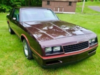 1985 Chevrolet Monte Carlo for sale in Michigan (ID-130782)