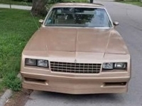 1985 Chevrolet Monte Carlo for sale in Michigan (ID-136626)