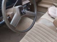 1985 Chevrolet Monte Carlo for sale in Michigan (ID-136626)