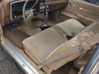 1985 Chevrolet Monte Carlo for sale in Michigan (ID-136626)