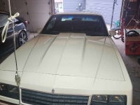 1985 Chevrolet Monte Carlo for sale in Michigan (ID-140992)