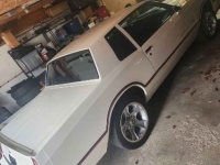 1985 Chevrolet Monte Carlo for sale in Michigan (ID-140992)