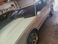 1985 Chevrolet Monte Carlo for sale in Michigan (ID-140992)
