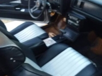 1985 Chevrolet Monte Carlo for sale in Michigan (ID-142930)
