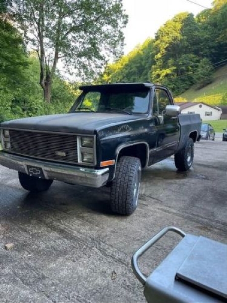 1985 Chevrolet Pickup for sale in Michigan (ID-132511) 1985 Chevrolet Pickup for sale in Michigan (ID-132511)