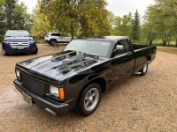 1985 Chevrolet S10 for sale in Michigan (ID-122232)